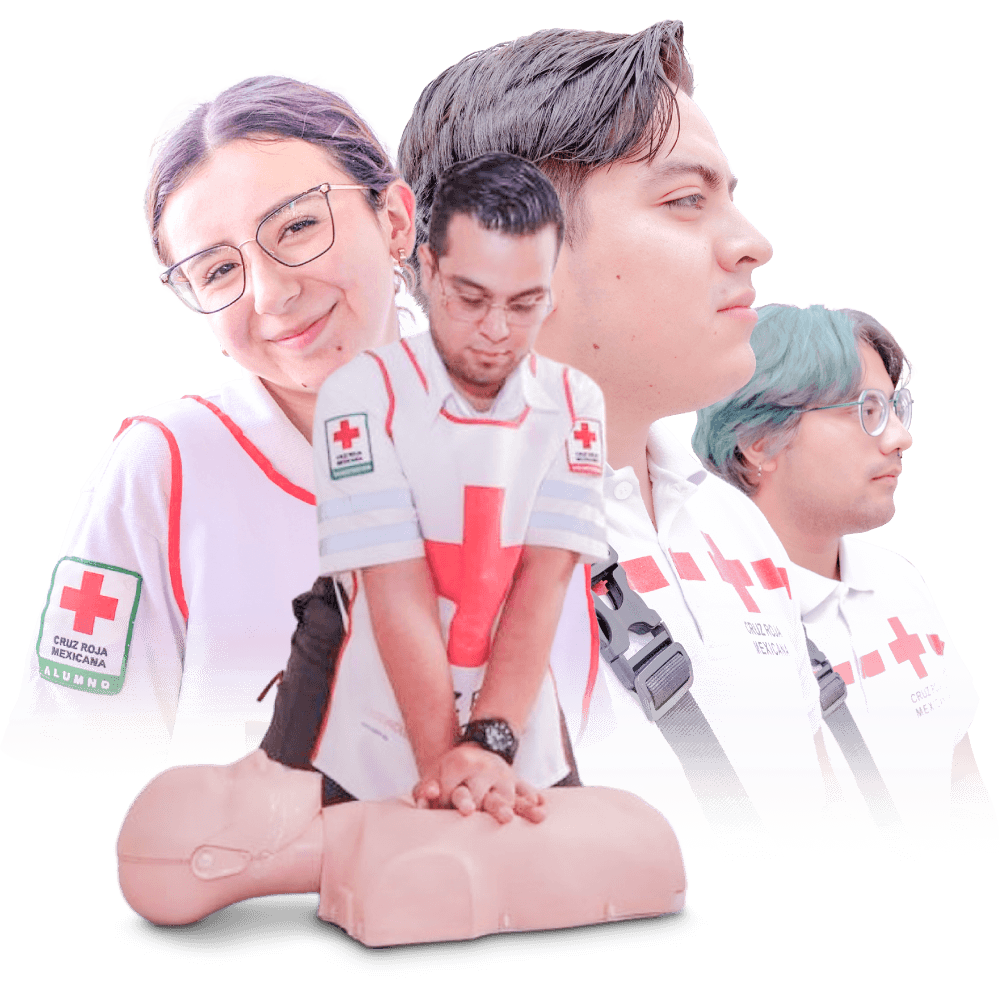 Alumnos Capacitación